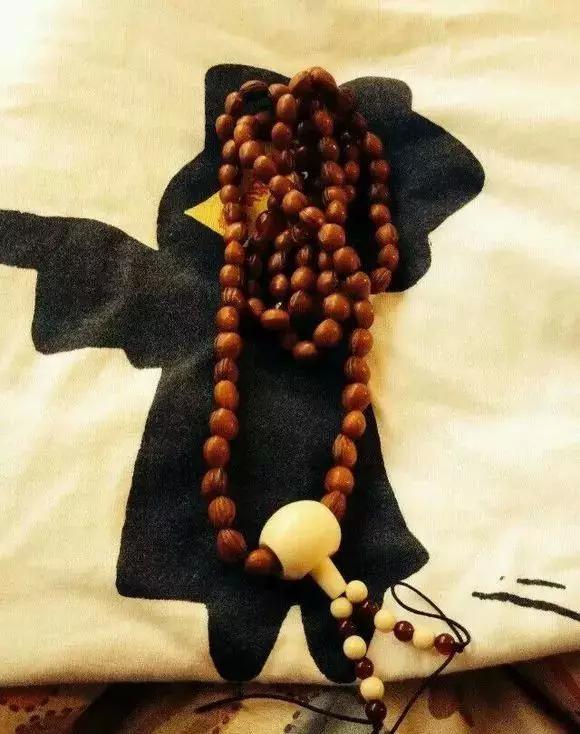 吃剩的水果核不要丢弃,吃剩的樱桃籽能种吗