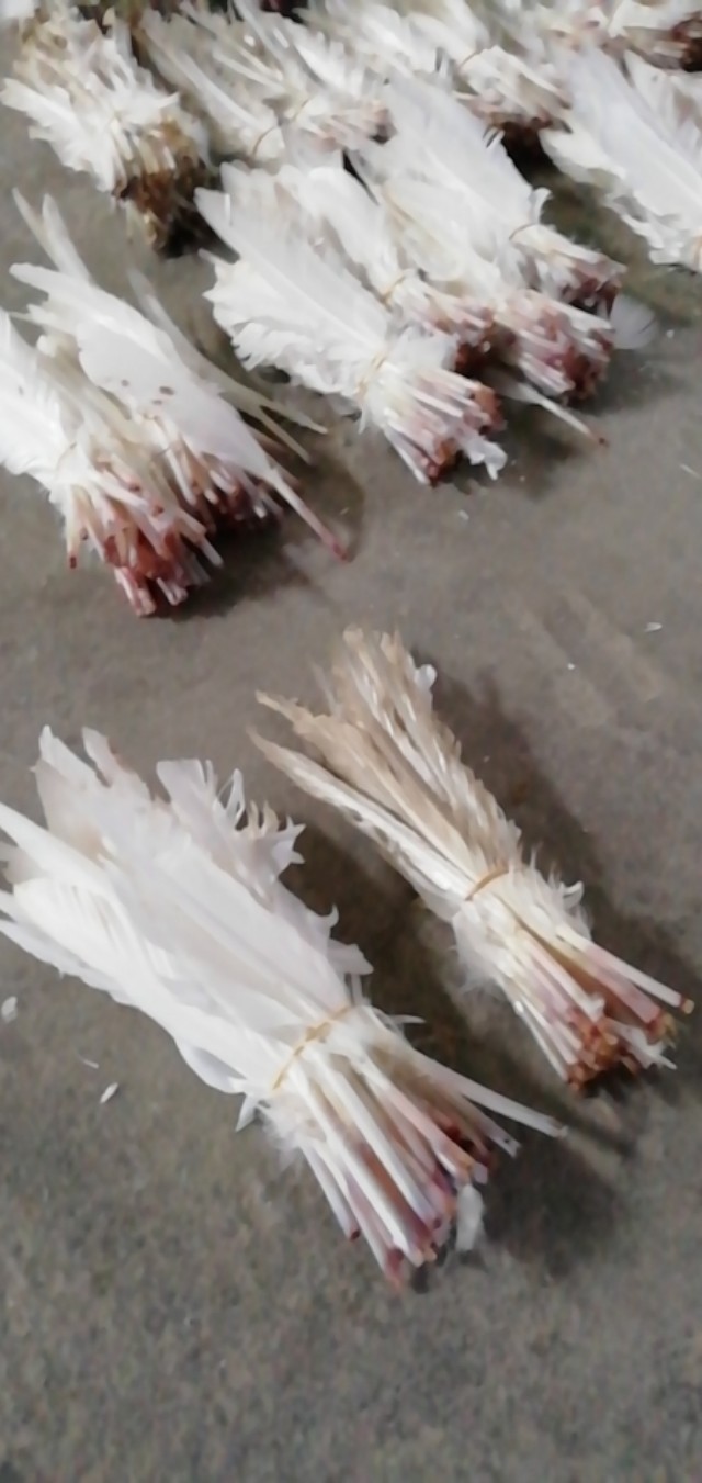 和yy05同档次的球,市面上对标yy05的球