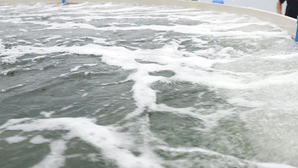 顺德顶级私房菜,寻味顺德5家古宅私房菜