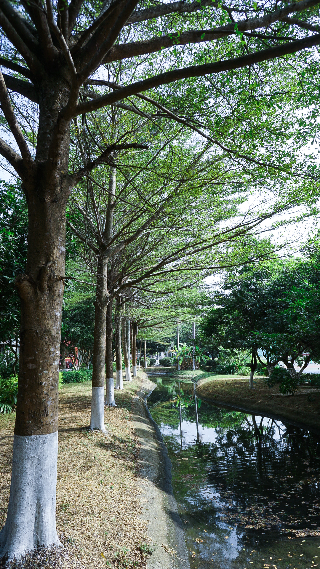 北海开车去越南,从北海一路开车到越南都遇到什么