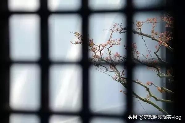 如此才华横溢的打油诗,如此才华横溢