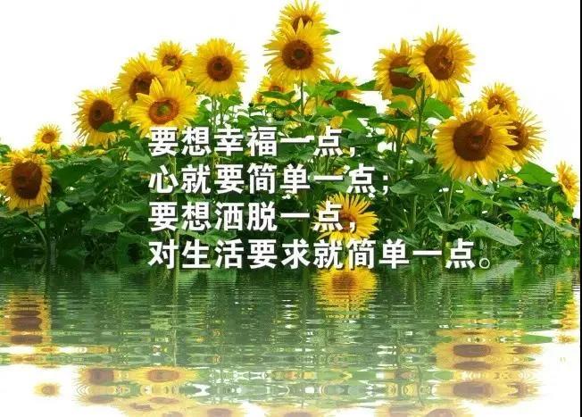 致自己无话可说的句子,致自己冷暖自知的句子