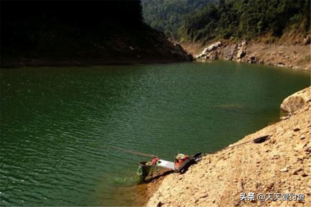 早上野钓如何选钓位,野钓怎么找最佳钓位