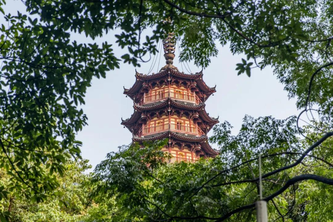 去深圳十大景点,到深圳必玩十大景区1天时间够吗