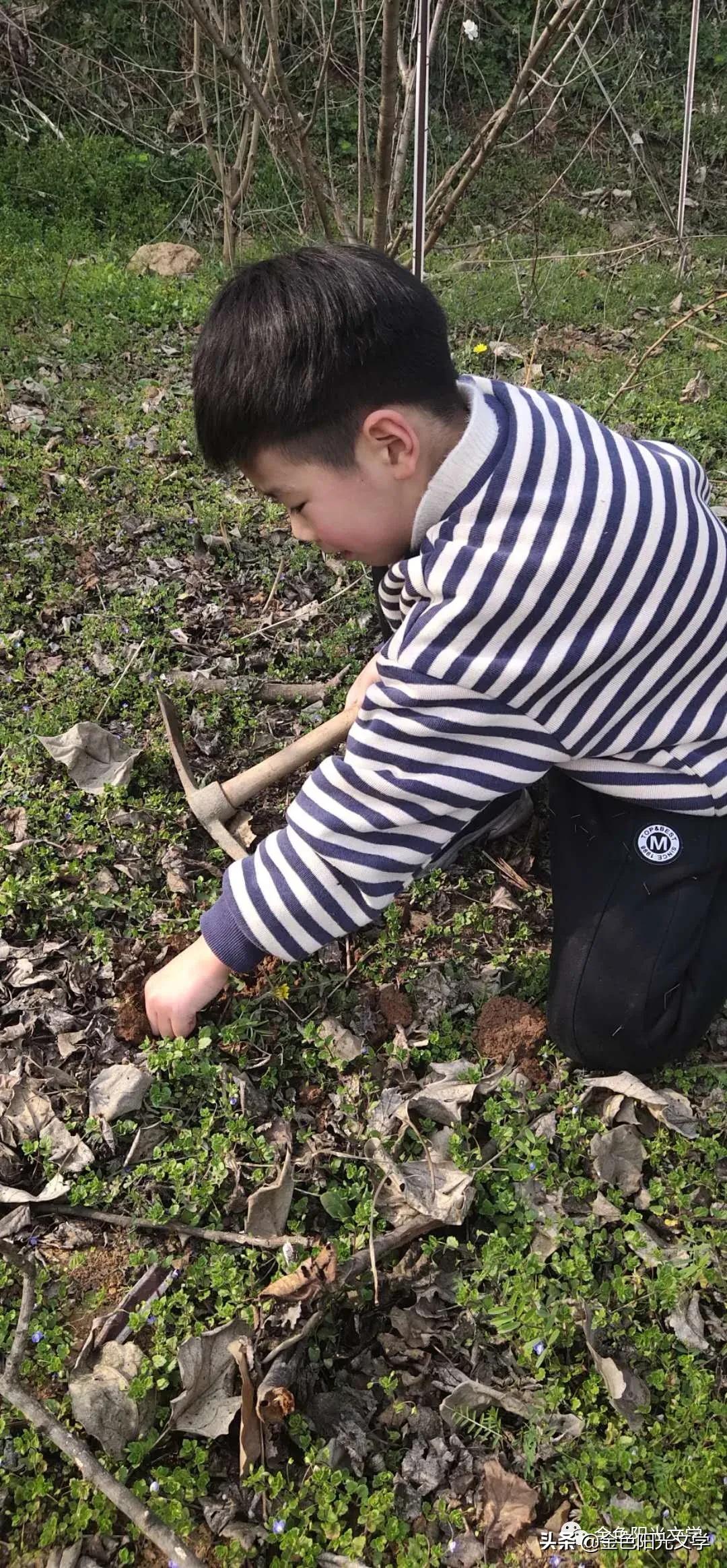 春天来了、春天的油菜花、我心中的春天、春诗