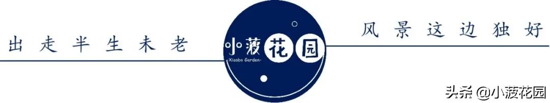 毛主席是运用“形而下”的高手,高高手