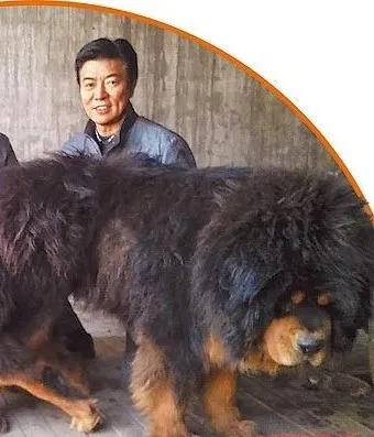 艳绝一时的台湾“四大美人”各自有怎样的人生……