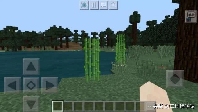 盘点一些我的世界植物排行榜,我的世界上有什么奇特的植物