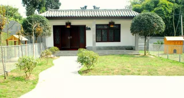 向往优宠宠物怎么养,向往优宠