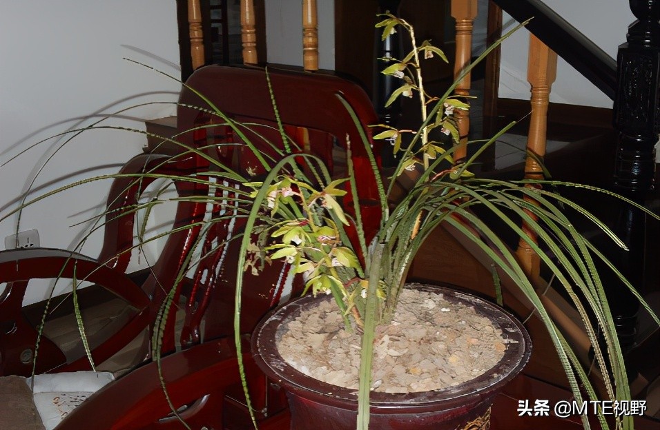 钑欏叞澶氳姳骞介鍥剧墖澶у叏,钑欏叞骞介鏄粈涔堟剰鎬濆晩