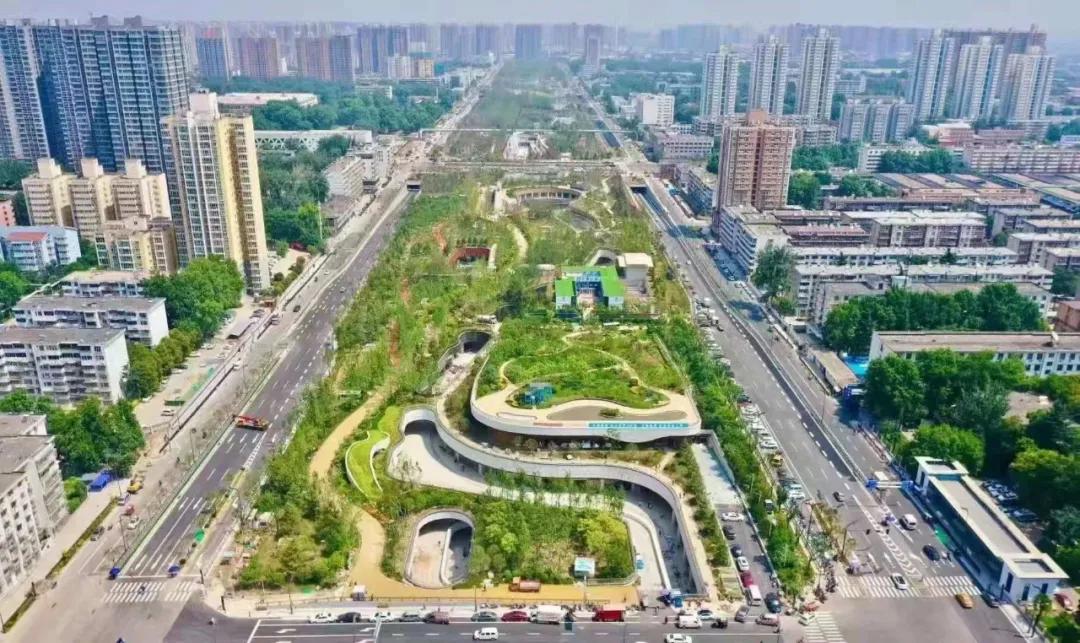 荣获乡村振兴优秀证书,2023乡村振兴成就奖