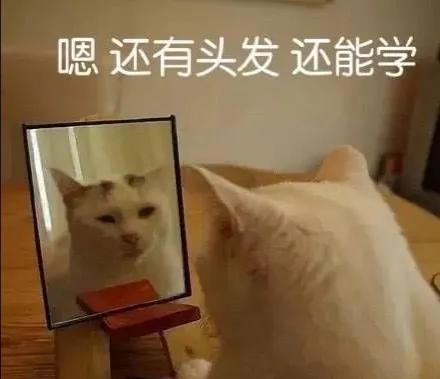 女生不回消息一招让她主动联系你,女孩不让牵手怎么回