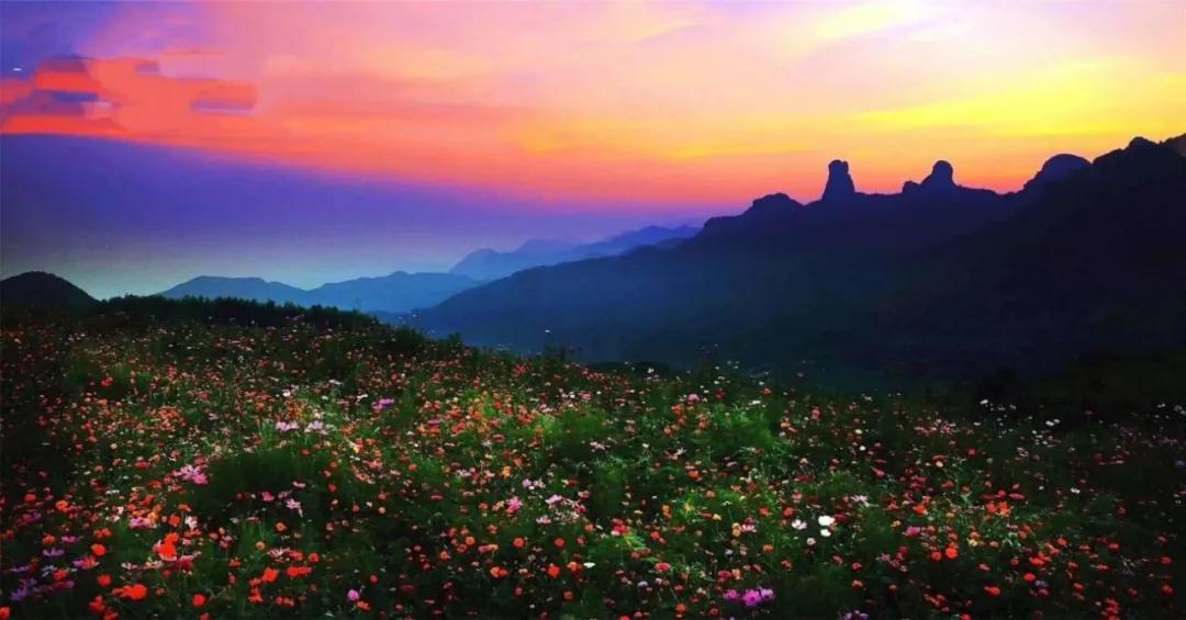 5万现金大奖！“天工之城杯”高坪乡村活化设计大赛报名倒计时~