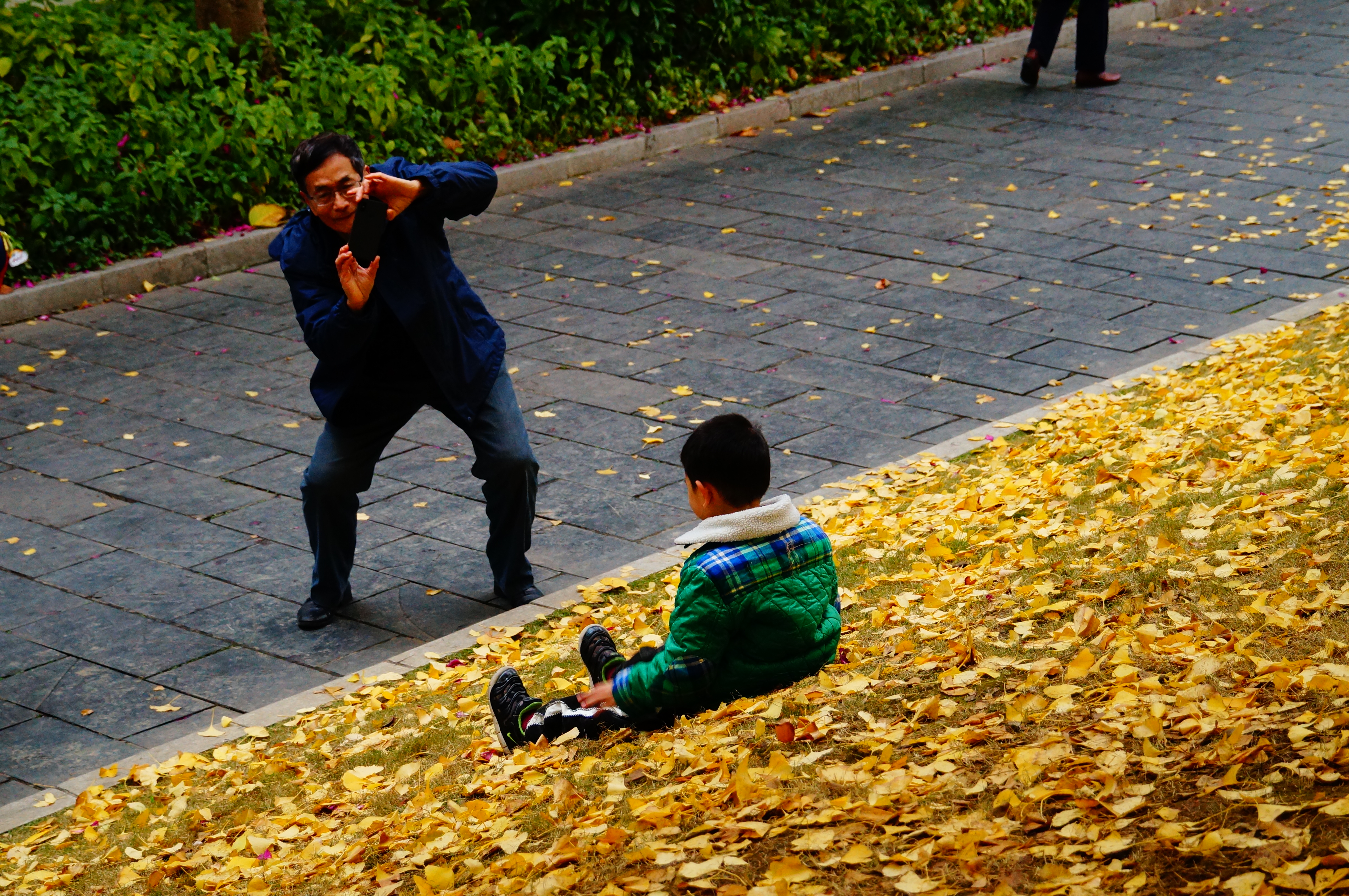 柳州的柳侯公园景色,柳州的秋天美景