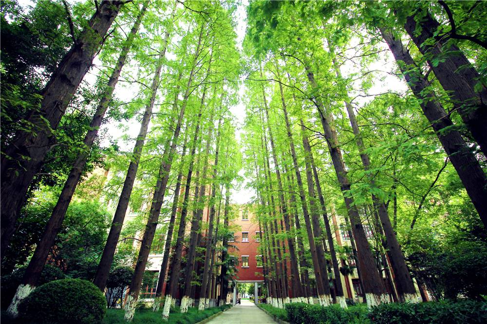 一流学科排名盘点,世界一流学科排名出炉20名