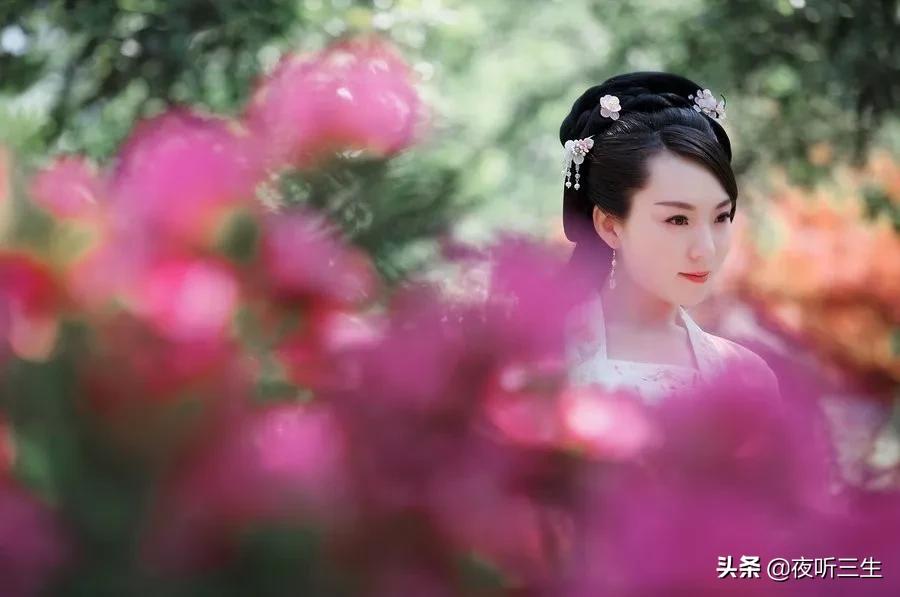 梦里花落知多少夜听,只看梦里花落知多少