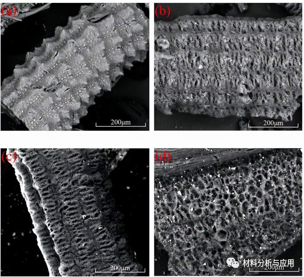 西安建大：稻壳衍生分级多孔碳作为轻质高效的吸波材料