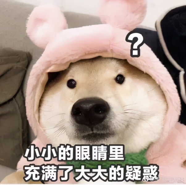 2011不锈钢和304不锈钢有啥区别呢,304不锈钢会有假货吗