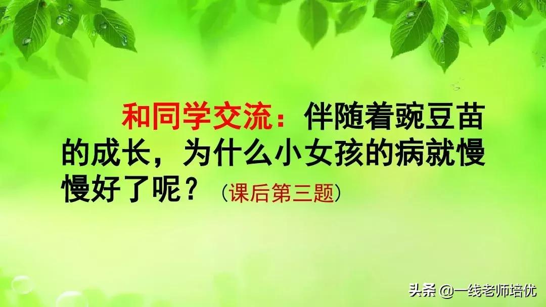 四年级上册豆荚里的五粒豆笔记,一个豆荚里的五粒豆四年级课文