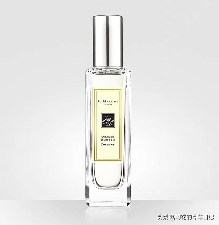 阿玛尼香水与祖玛珑香水哪个高端,范思哲香水和祖玛珑香水哪个好闻