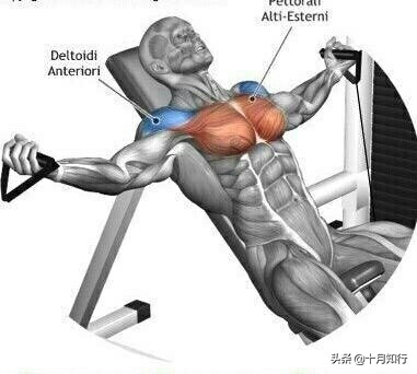 把胸肌练宽,把胸肌练大健身房动作