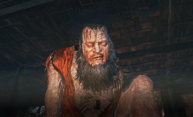 《只狼》的背景故事全面解析,只狼隐藏的真实故事