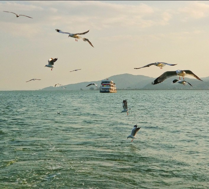 高原明珠滇池,美丽的高原明珠青海湖