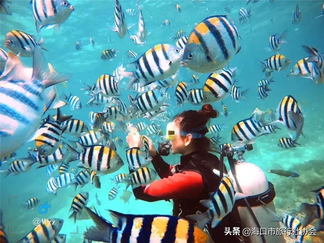 跟着电影去旅行旅游图,跟着电影去旅行