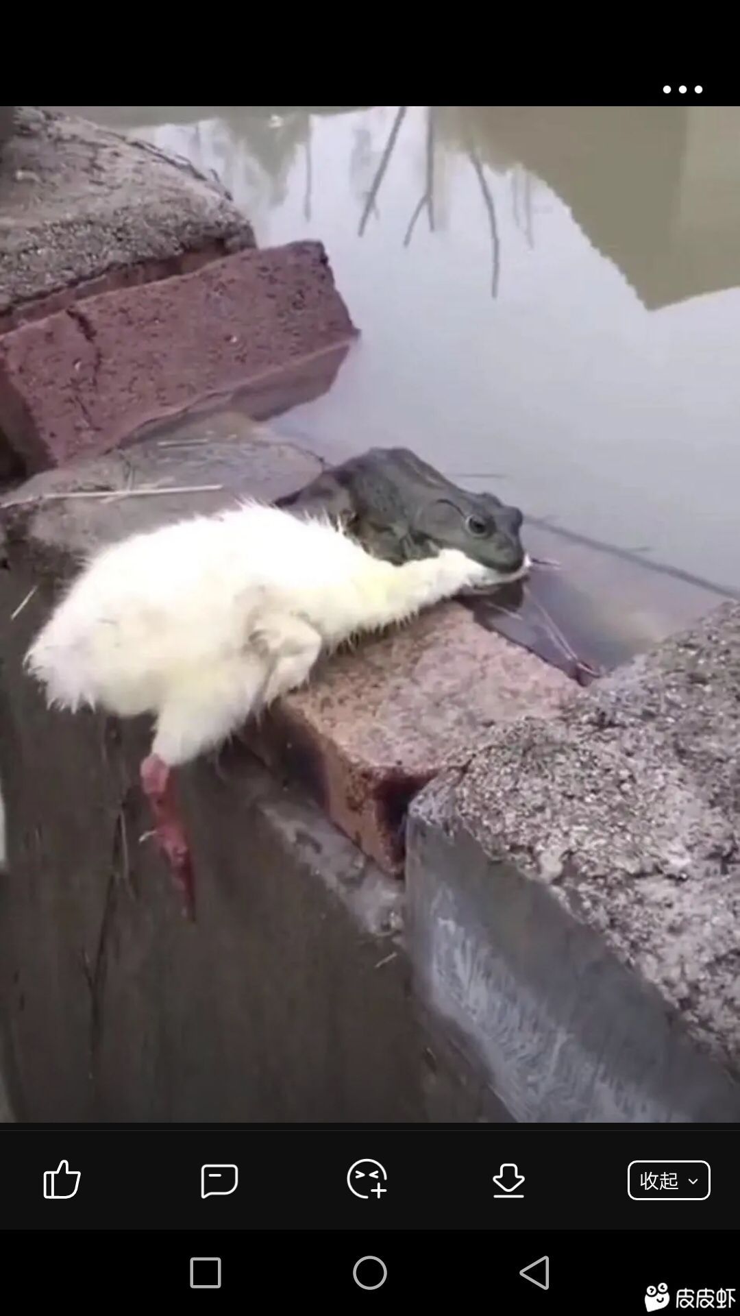 最不讲卫生的女孩是什么样子的,现实中最不讲卫生的女孩