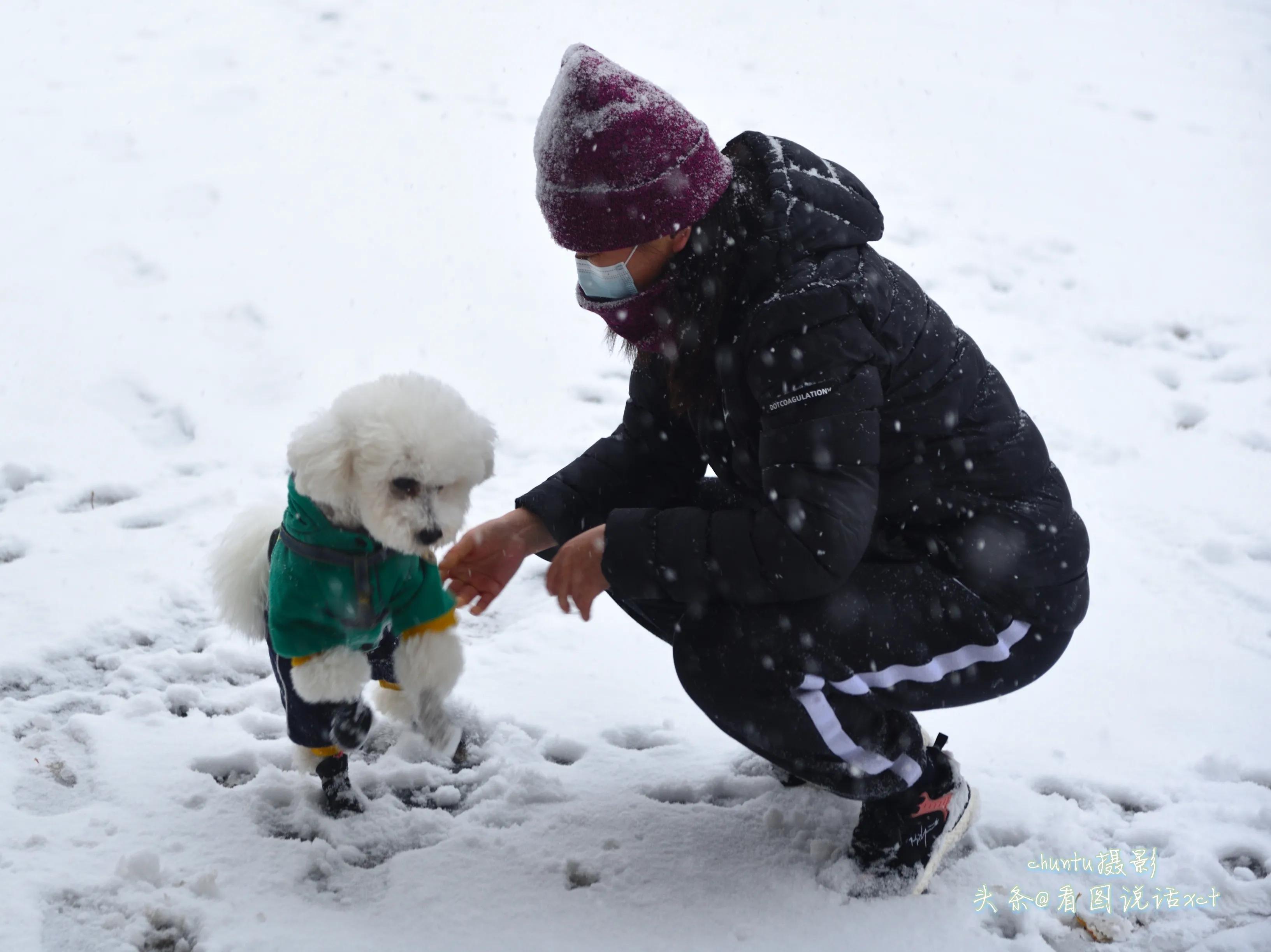 青龙下雪的情景,青龙县今天下雪了吗