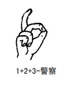 自然手语学习教程,自然手语和标准手语