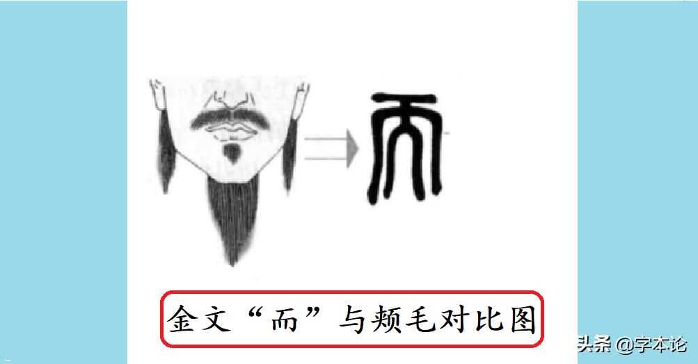 探析而字与胡须的渊源关系及对耐字表示轻刑义的考察