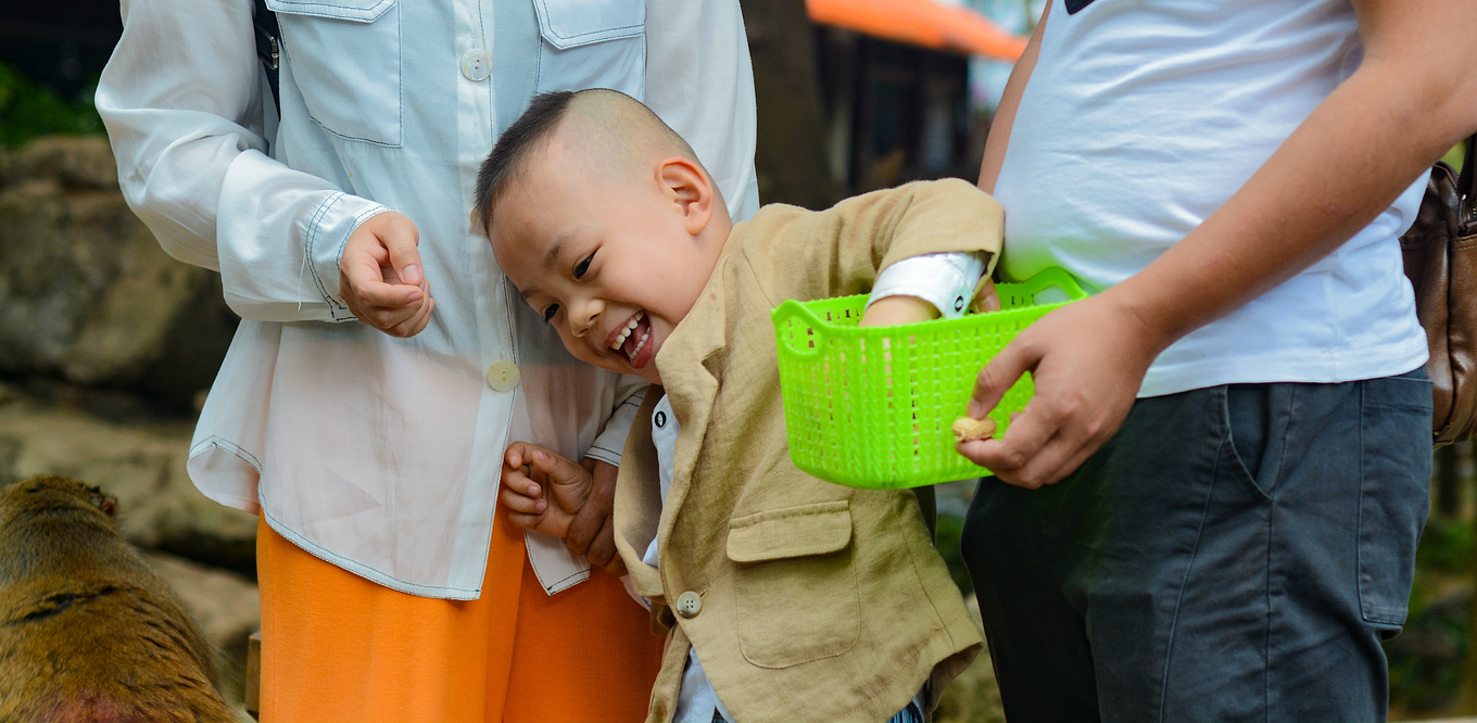 你在南方瑟瑟发抖，我在这里遛娃、看猴、赶海····