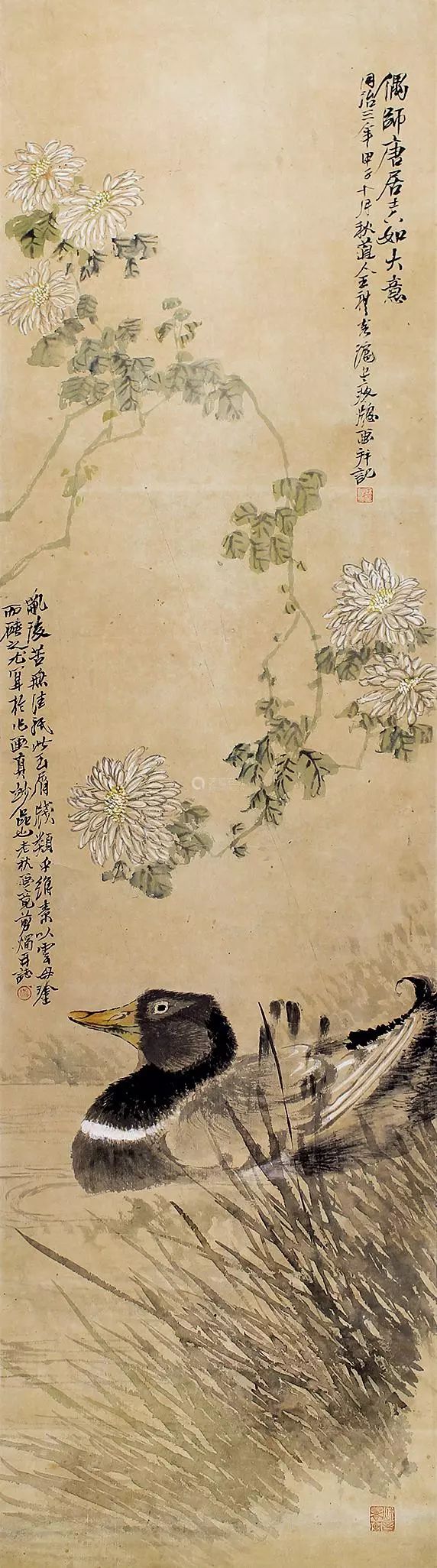 布局精妙的写意花鸟画,中国花鸟画有一种典型的构图方法