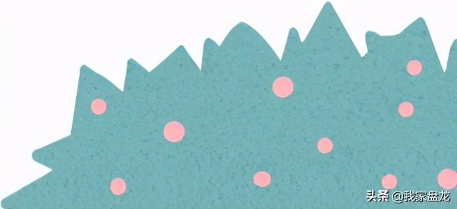 盘龙高中,盘龙学校高中