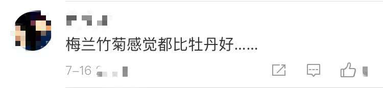 中国花协推荐牡丹为国花评述,中国花卉协会牡丹国花