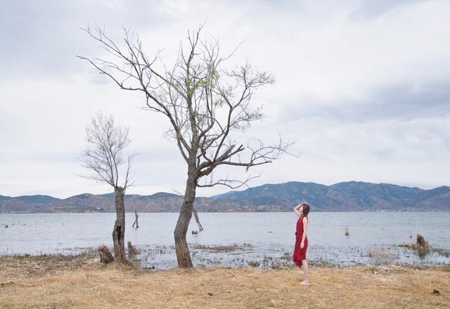 适合一个人去的大理民宿,大理游玩住哪里的民宿方便又便宜