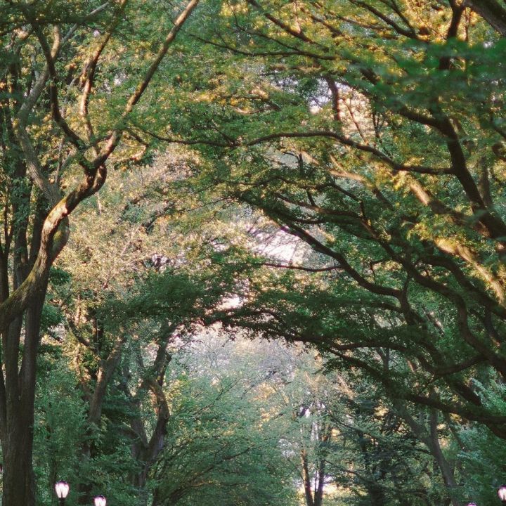 有趣的锁骨千篇一律,好看有趣的锁骨