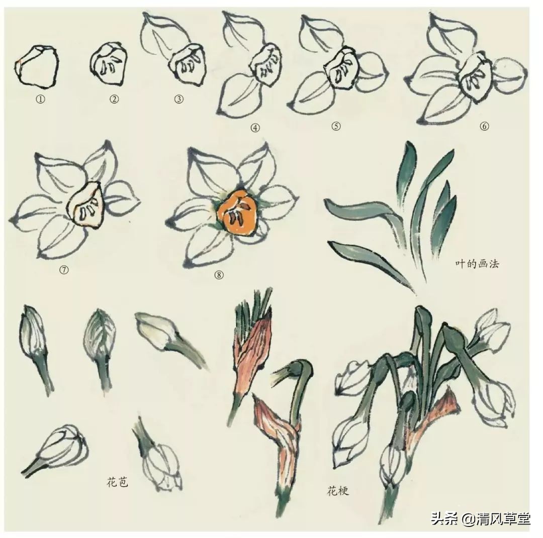 少儿国画花卉画法视频,各种花卉的100种画法