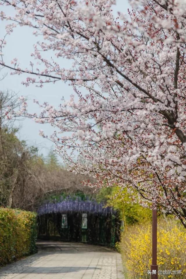 苏州周边自驾游最佳景点,苏州火车站周边景点一日游