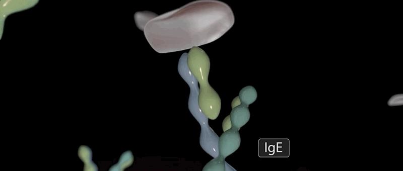 哮喘过敏症的症状,呼吸道过敏哮喘症状