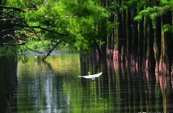 做人做事做好自己才是最好的,做人做事要学会做好自己