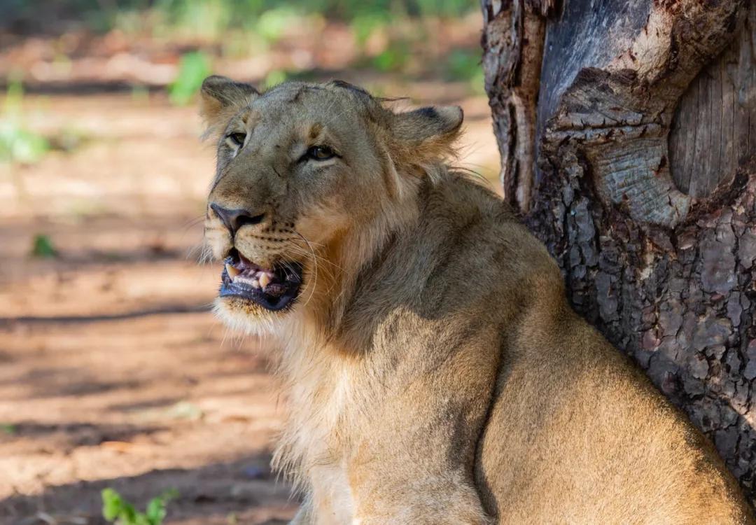 猛男落泪名场面,猛男落泪的名场面