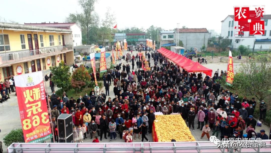 秋乐368亩产多少斤,秋乐368一亩地产量多少斤