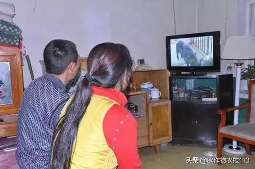 利润很吓人的100个冷门创业项目,农村创业100个项目赚钱