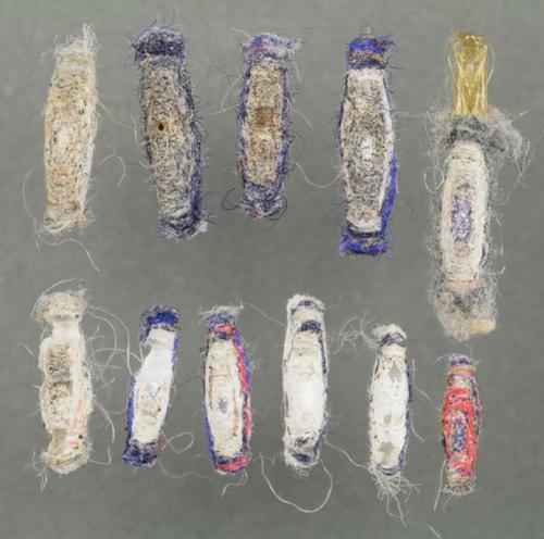 衣柜长了很多黑色小虫子,定制衣柜里面有小虫子什么原因