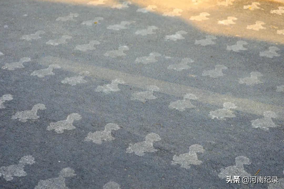 120个美丽乡村柘城入选,河南柘城县最美乡村