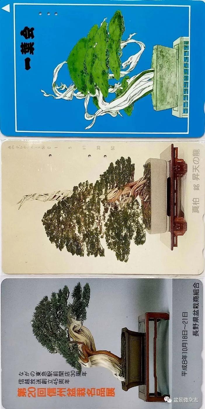 鐩嗘櫙鑱旂郴鐢佃瘽,鐩嗘櫙鑱旂郴鐢佃瘽鍙风爜