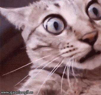 国足守门员喝水搞笑gif动图,守门员搞笑动图