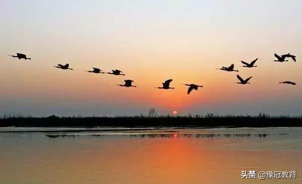 郑新黄河大桥2021年收费政策 (郑新黄河大桥2020年收费政策)